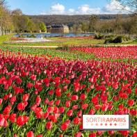 Les tulipes du Château de Dampierre, son jardin anglais et le jardin Le Nôtre