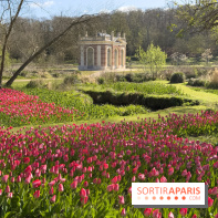 Les tulipes du Château de Dampierre, son jardin anglais et le jardin Le Nôtre