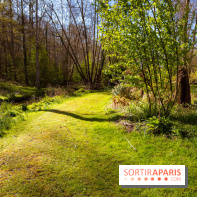 Les tulipes du Château de Dampierre, son jardin anglais et le jardin Le Nôtre - IMG 2932