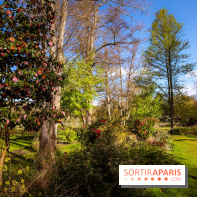 Les tulipes du Château de Dampierre, son jardin anglais et le jardin Le Nôtre
