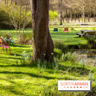Les tulipes du Château de Dampierre, son jardin anglais et le jardin Le Nôtre - IMG 2938