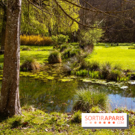 Les tulipes du Château de Dampierre, son jardin anglais et le jardin Le Nôtre - IMG 2953