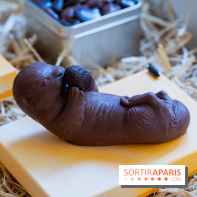 Pâques 2026, les chocolats artisanaux de Willliam Artigue à Paris - A7C09823
