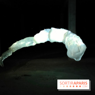 Les Extatiques souterrains : un parcours artistique introspectif sous la Grande arche de La Défense - fotor 1775122179671