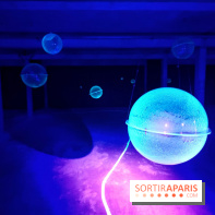 Les Extatiques souterrains : un parcours artistique introspectif sous la Grande arche de La Défense