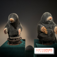 Expositions Diego Marcon et Ladji Diaby à Lafayette Anticipations - IMG 5572