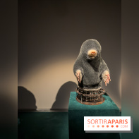 Expositions Diego Marcon et Ladji Diaby à Lafayette Anticipations - IMG 5573