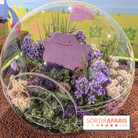 Pokémon Pokopia : un espace détente gratuit pour vous immerger dans le jeu aux Ateliers Gaîté