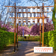 Hanami au Parc de Sceaux 2026, les cerisiers en fleurs et ses  animations