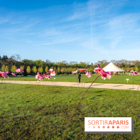 Hanami au Parc de Sceaux 2026, les cerisiers en fleurs et ses  animations