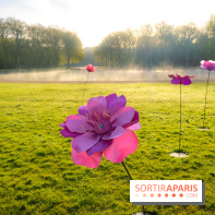Hanami au Parc de Sceaux 2026, les cerisiers en fleurs et ses  animations