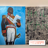 Exposition Henry Taylor au Musée Picasso - IMG 6020