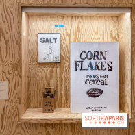 Exposition Henry Taylor au Musée Picasso - IMG 6053