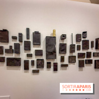 Exposition Henry Taylor au Musée Picasso - IMG 6070