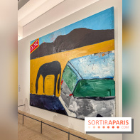 Exposition Henry Taylor au Musée Picasso - IMG 6130