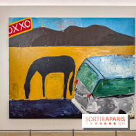 Exposition Henry Taylor au Musée Picasso - IMG 6144