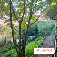 Shakirail, le lieu de travail avec programmation dédiée à la création émergente à Paris - IMG 7125