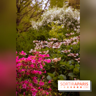 Château de Courson et son domaine : Parc Botanique et Jardin Remarquable en Région Parisienne  - A7C02953