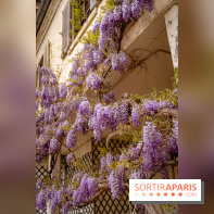 Château de Courson et son domaine : Parc Botanique et Jardin Remarquable en Région Parisienne  - A7C03024