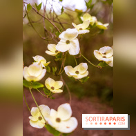 Château de Courson et son domaine : Parc Botanique et Jardin Remarquable en Région Parisienne  - A7C02947