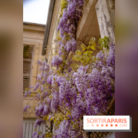 Château de Courson et son domaine : Parc Botanique et Jardin Remarquable en Région Parisienne  - A7C03026