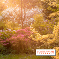 Château de Courson et son domaine : Parc Botanique et Jardin Remarquable en Région Parisienne  - A7C02951 Edit