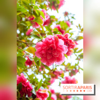 Château de Courson et son domaine : Parc Botanique et Jardin Remarquable en Région Parisienne  - A7C02945