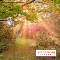 Château de Courson et son domaine : Parc Botanique et Jardin Remarquable en Région Parisienne  - A7C02954 Edit