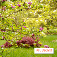 Château de Courson et son domaine : Parc Botanique et Jardin Remarquable en Région Parisienne  - A7C02900