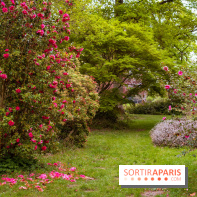 Château de Courson et son domaine : Parc Botanique et Jardin Remarquable en Région Parisienne  - A7C02940 HDR