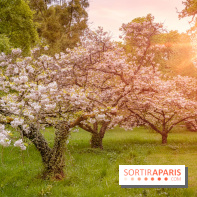 Château de Courson et son domaine : Parc Botanique et Jardin Remarquable en Région Parisienne  - A7C02889 Edit