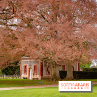 Château de Courson et son domaine : Parc Botanique et Jardin Remarquable en Région Parisienne  - A7C02880