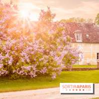 Château de Courson et son domaine : Parc Botanique et Jardin Remarquable en Région Parisienne  - A7C02883 Edit
