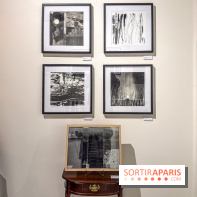 Fantôme à la galerie La Lison : exposition Avant les cendres - IMG 6205