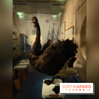 Explorateurs, une exposition du musée de l'armée