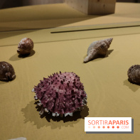 Explorateurs, une exposition du musée de l'armée