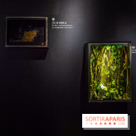 Exposition Frontière à la Cité des sciences : comprendre les frontières dans le monde - IMG 6390