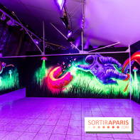 Colors Light, l'exposition lumineuse du Colors festival 2026 dans Paris - photos  - A7C03394