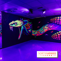 Colors Light, l'exposition lumineuse du Colors festival 2026 dans Paris - photos