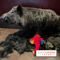 Annette Message au musée de la Chasse et de la Nature - nos photos