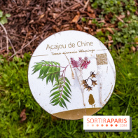 Le Château de Buc et son superbe domaine, parc paysagé aux nombreux trésors