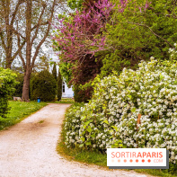 Le Château de Buc et son superbe domaine, parc paysagé aux nombreux trésors