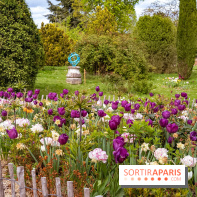 Le Château de Buc et son superbe domaine, parc paysagé aux nombreux trésors