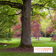 Le Château de Buc et son superbe domaine, parc paysagé aux nombreux trésors