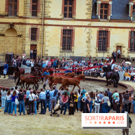 Week-end de reconstitutions desséjours de Marie-Antoinette et Louis XVI à Fontainebleau en photos