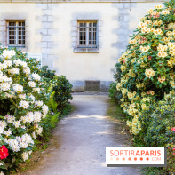 Parc et Jardins du Château de Fontainebleau - les photos