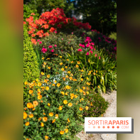 Parc et Jardins du Château de Fontainebleau - les photos