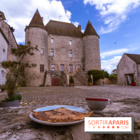 Château Musées de Nemours en Seine-et-Marne - photos - A7C04869
