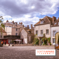 Château Musées de Nemours en Seine-et-Marne - photos - A7C04866