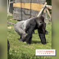 ZooParc de Beauval et Hôtel Les Pagodes de Beauval - IMG 5436